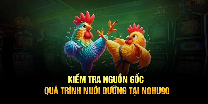 Kiểm tra nguồn gốc, quá trình nuôi dưỡng tại Nohu90