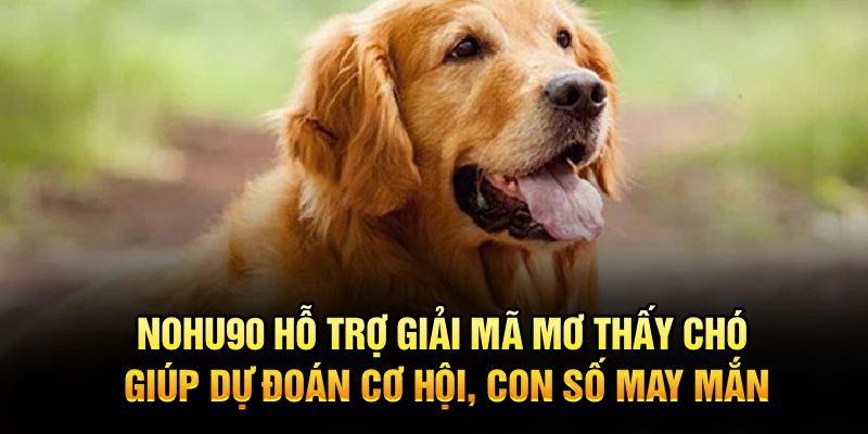 Nohu90 hỗ trợ giải mã mơ thấy chó, giúp dự đoán cơ hội, con số may mắn